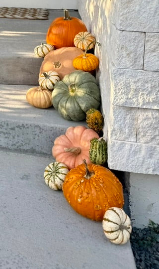 The Complete Fall Porch