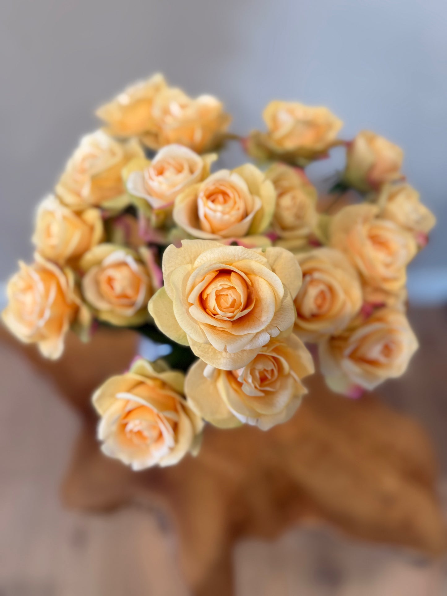 Peach Cream Rose Bundle of 6