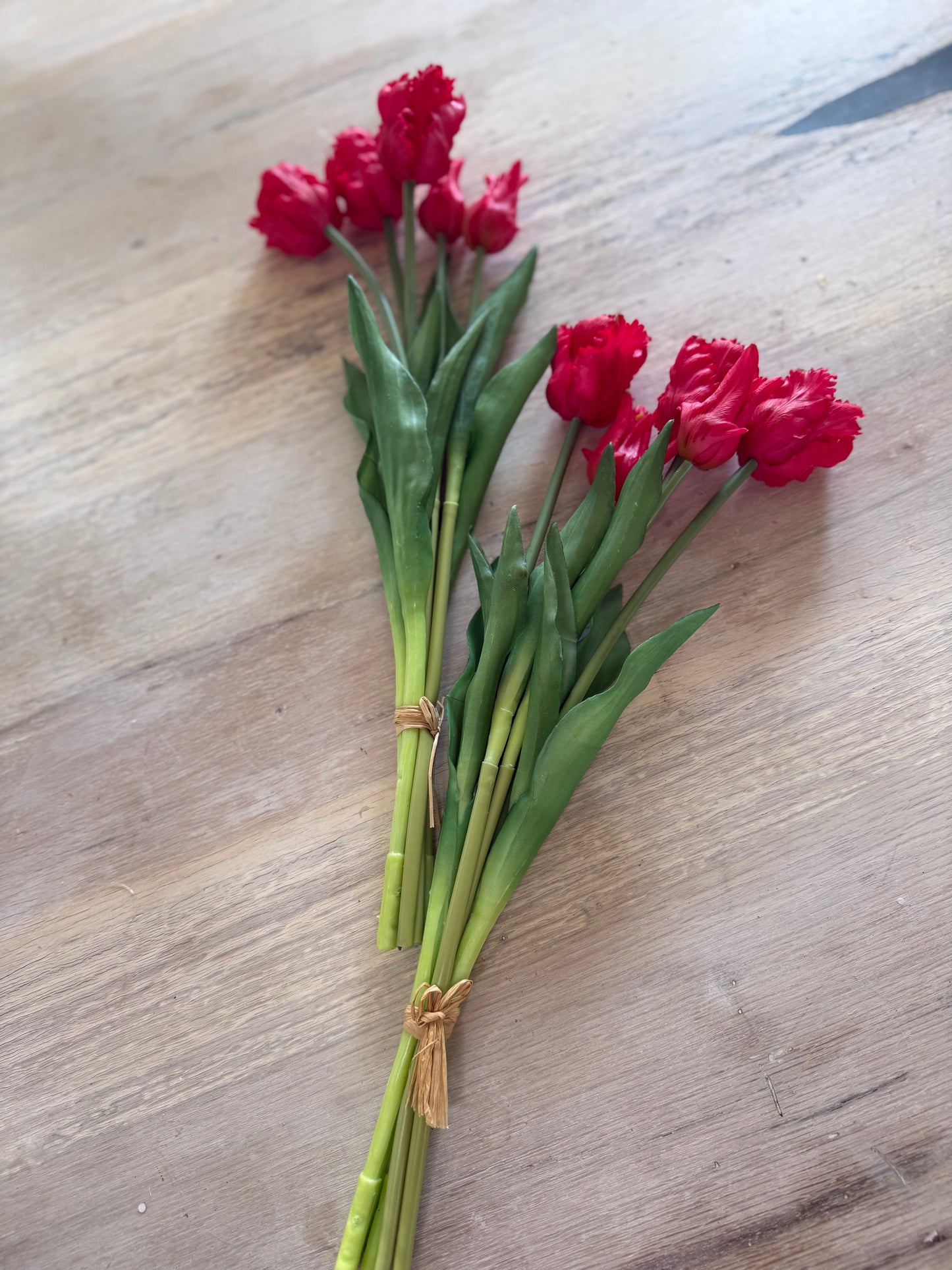 French Red Tulip Bundle of 5