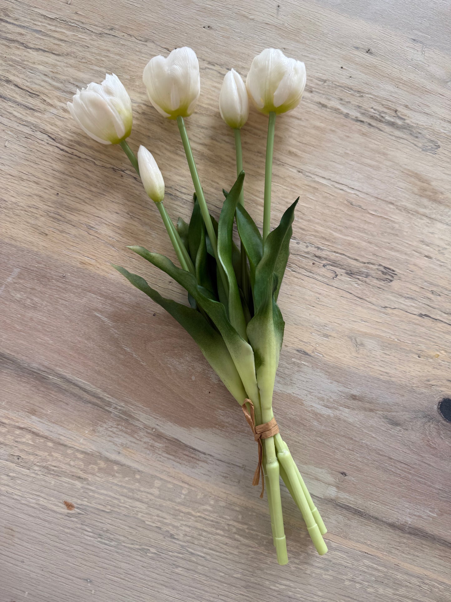 French white tulips-Bundle of 5