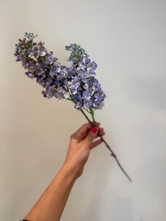 Lilac Flower Stem