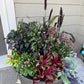 Seasonal Container Customer Inquiry
