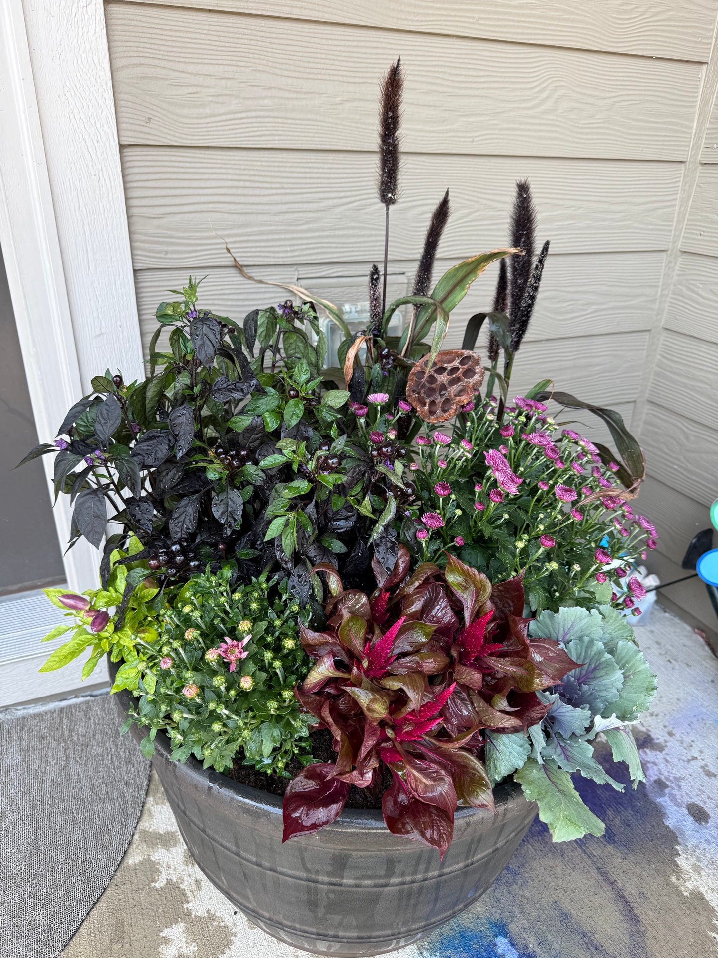 Seasonal Container Customer Inquiry