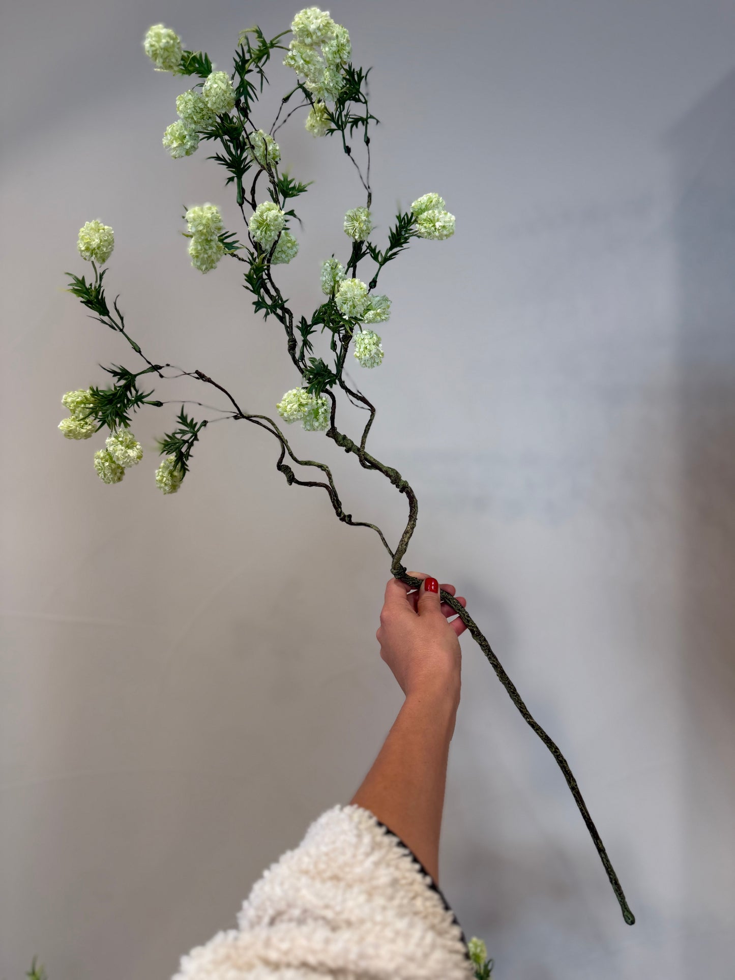 Limelight Mini Hydrangea Stems