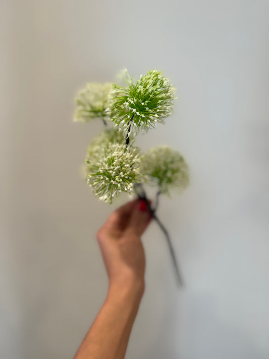 Green & White Centaurea Thistle Spray