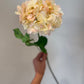 Peach Hydrangea Stem