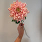 Peach Dahlia Stem
