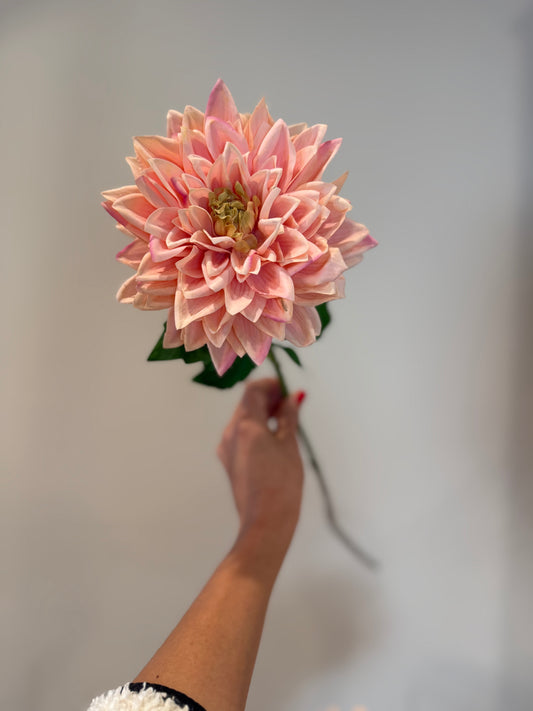 Peach Dahlia Stem