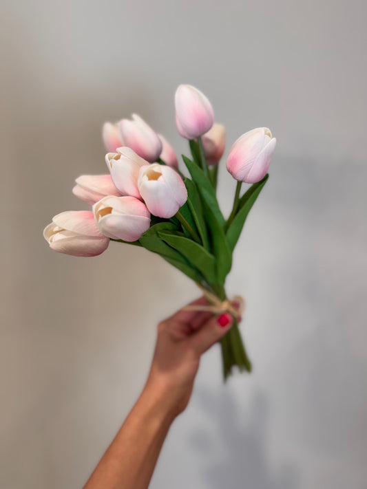 Pale Pink Tulip Bundle of 12