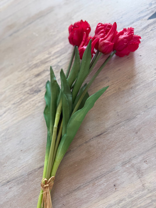 French Red Tulip Bundle of 5