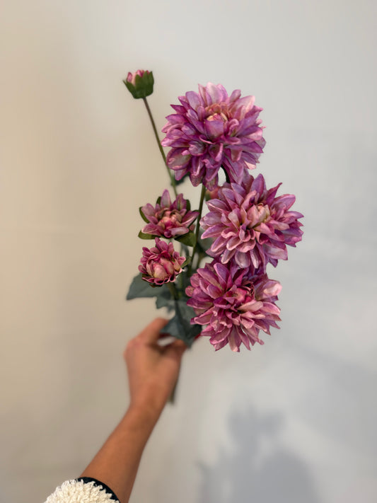 Purple Dahlia Bundle of 3 Stems