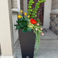 Seasonal Container Customer Inquiry