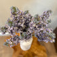 Lilac Flower Stem