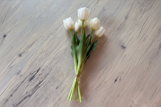 French white tulips-Bundle of 5