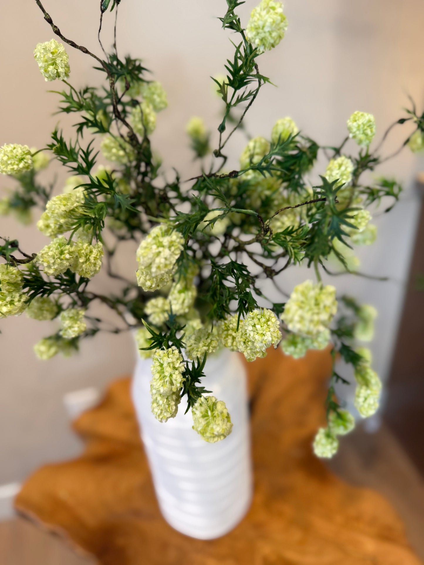 Limelight Mini Hydrangea Stems