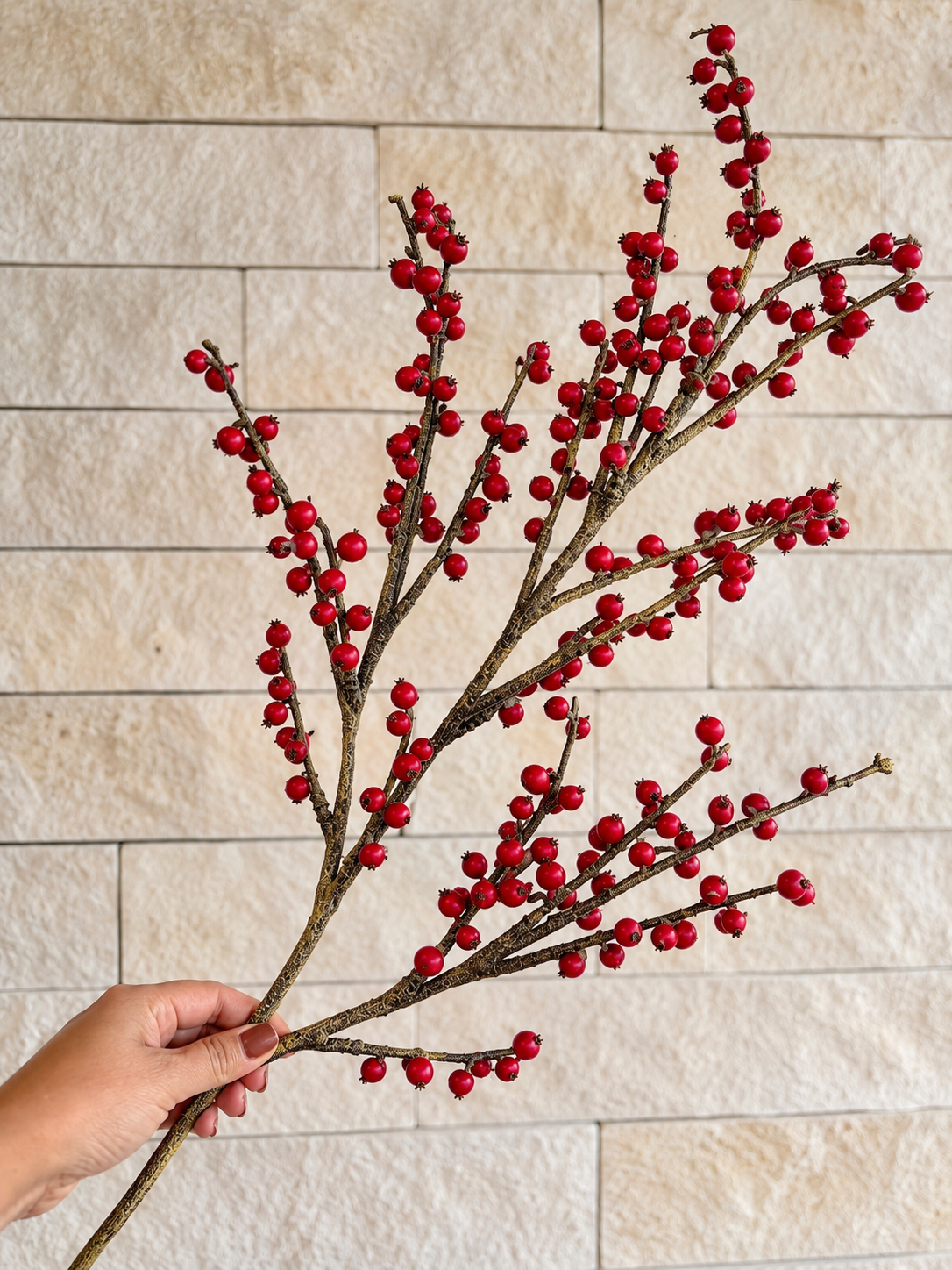 49" Red Berry Stem