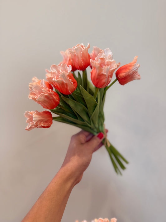 Peach Parrot Tulip Bundle of 12