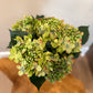 Green Peach Hydrangea Stem