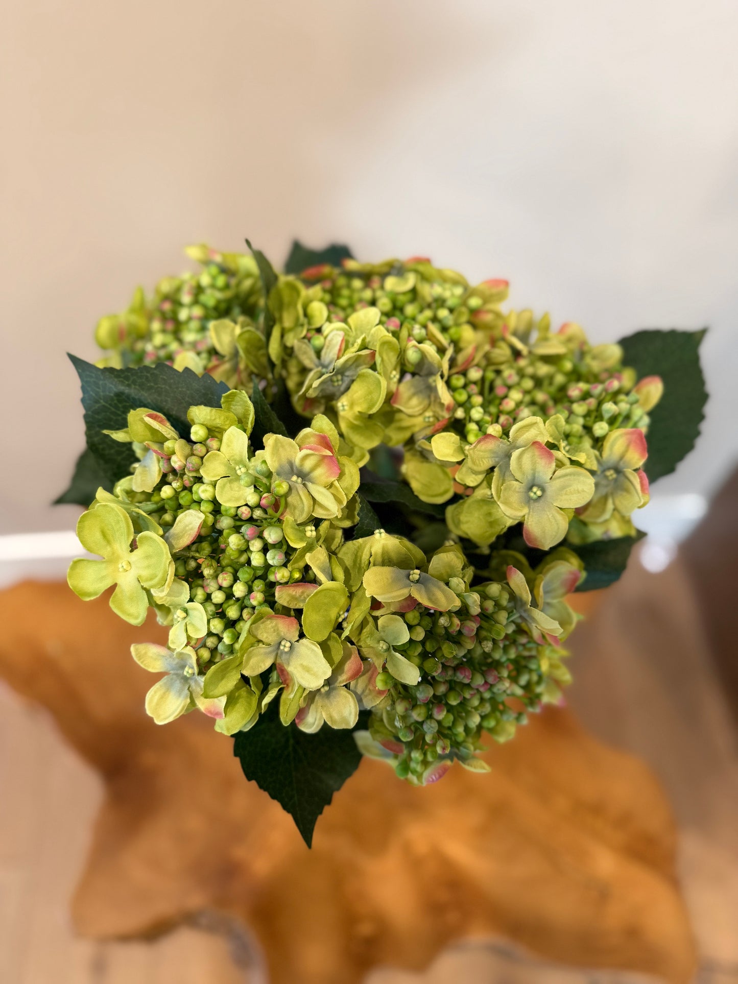 Green Peach Hydrangea Stem