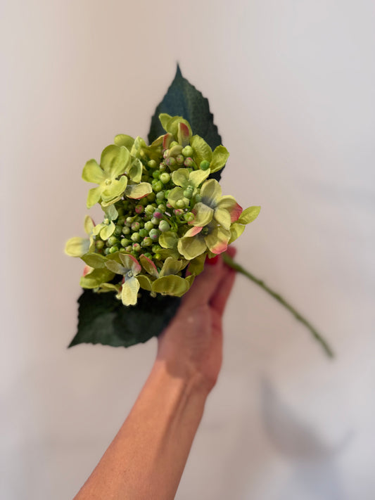 Green Peach Hydrangea Stem
