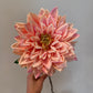 Peach Dahlia Stem