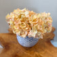 Peach Hydrangea Stem