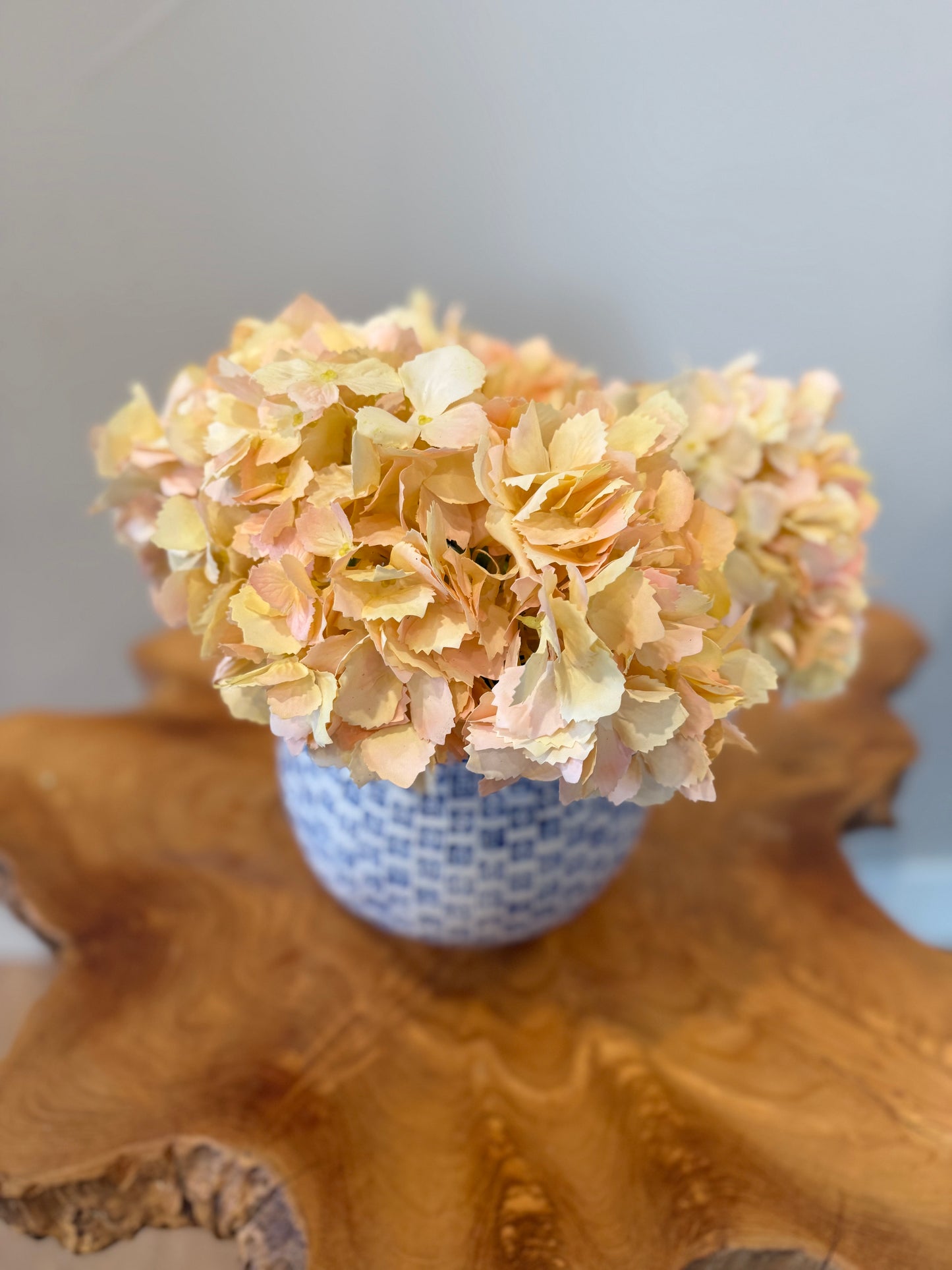 Peach Hydrangea Stem