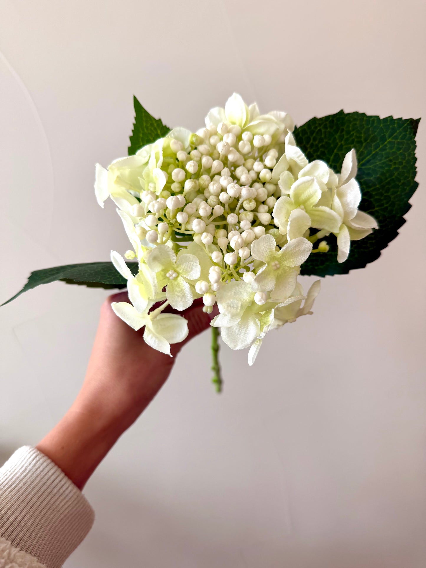 Light Green Hydrangea