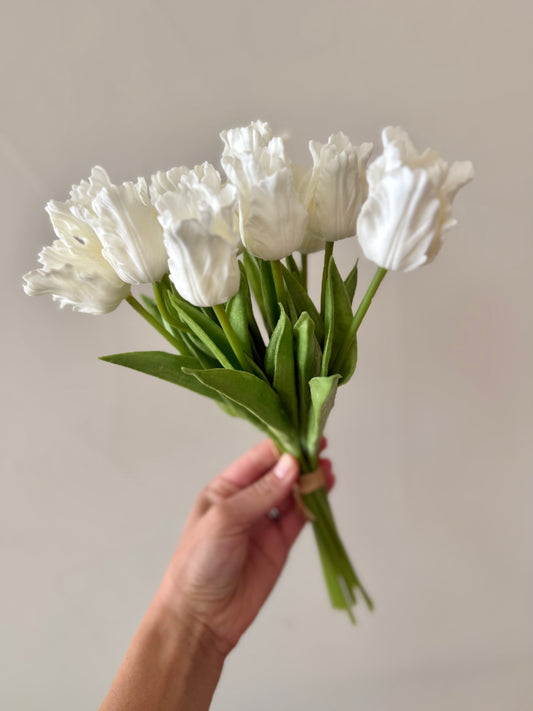 White Parrot Tulips Bundle of 12