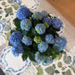 Hydrangea Paper Table Runner 20" x 25'