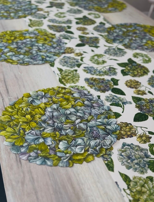 Hydrangea Placemats- Pack of 12