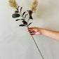 Green/Plum Prairie Smoke Flower Stem 26"