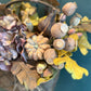 Autumn Nest