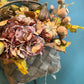 Autumn Nest