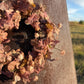 The Blush Meadow Wreath