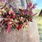 The Raspberry Harvest Wreath