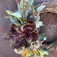 The Violet Garden Wreath