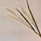 Fox Tail Grass Stems 36"