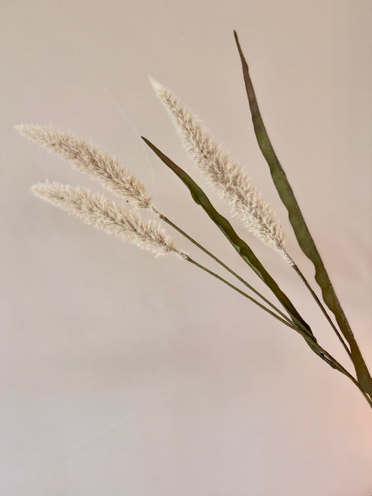 Fox Tail Grass Stems 36"