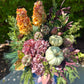 Seasonal Container Appointment