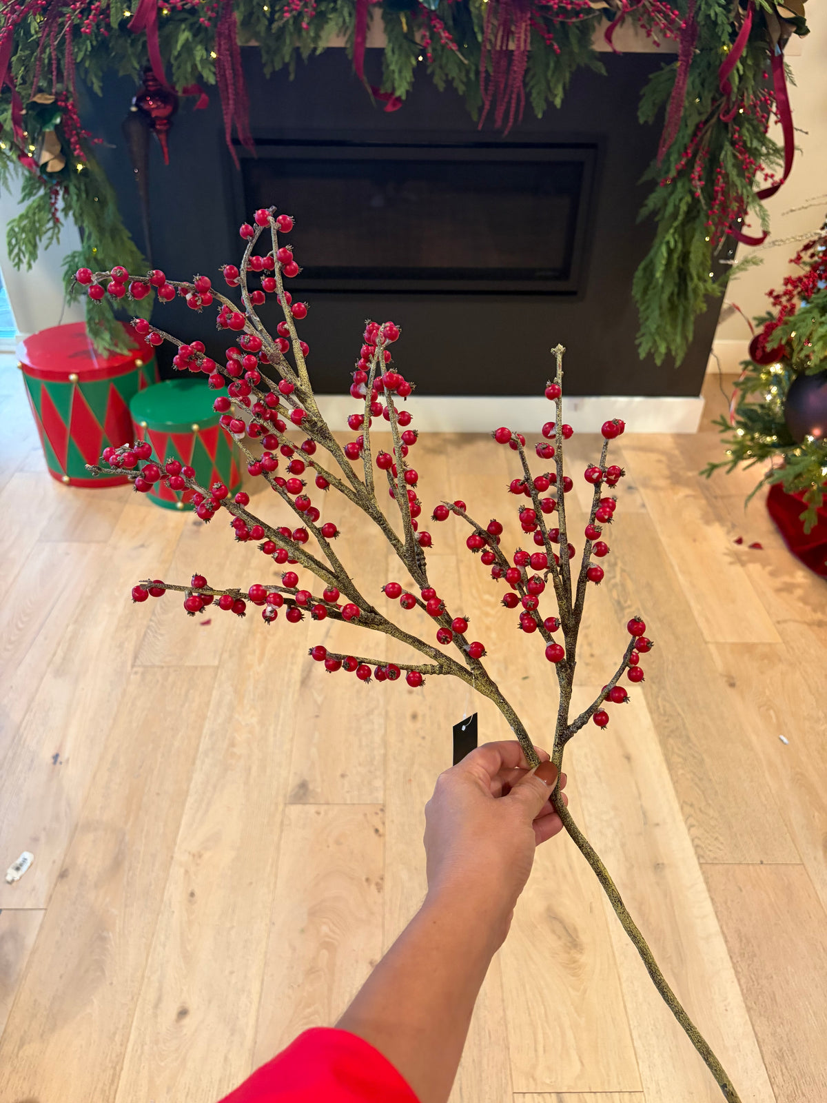 49" Red Berry Stem