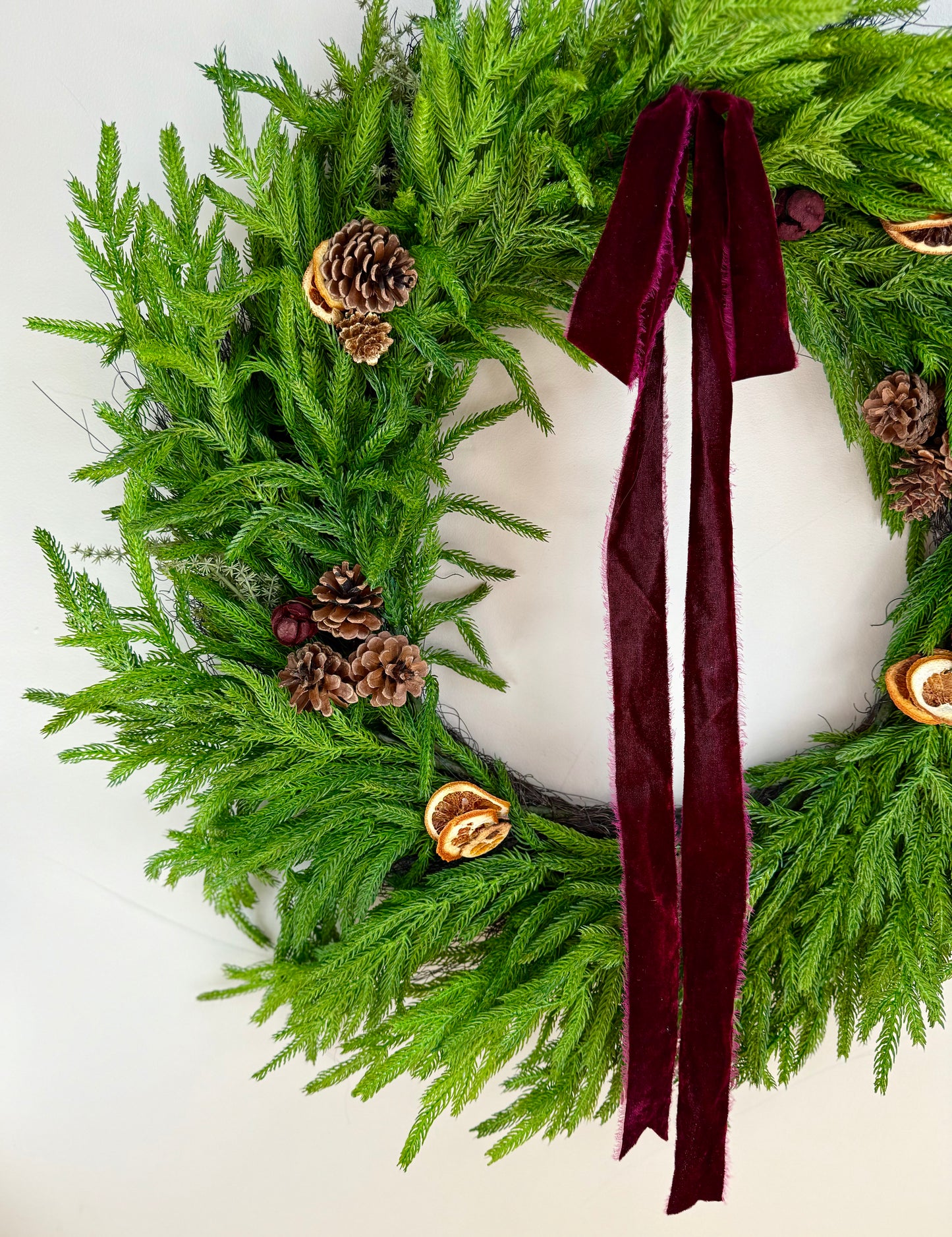 XL Real Touch Norfolk Pine Wreath 28"L