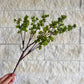 24.5" Green Eucalyptus Berry Bud Stem – Realistic Faux Greener