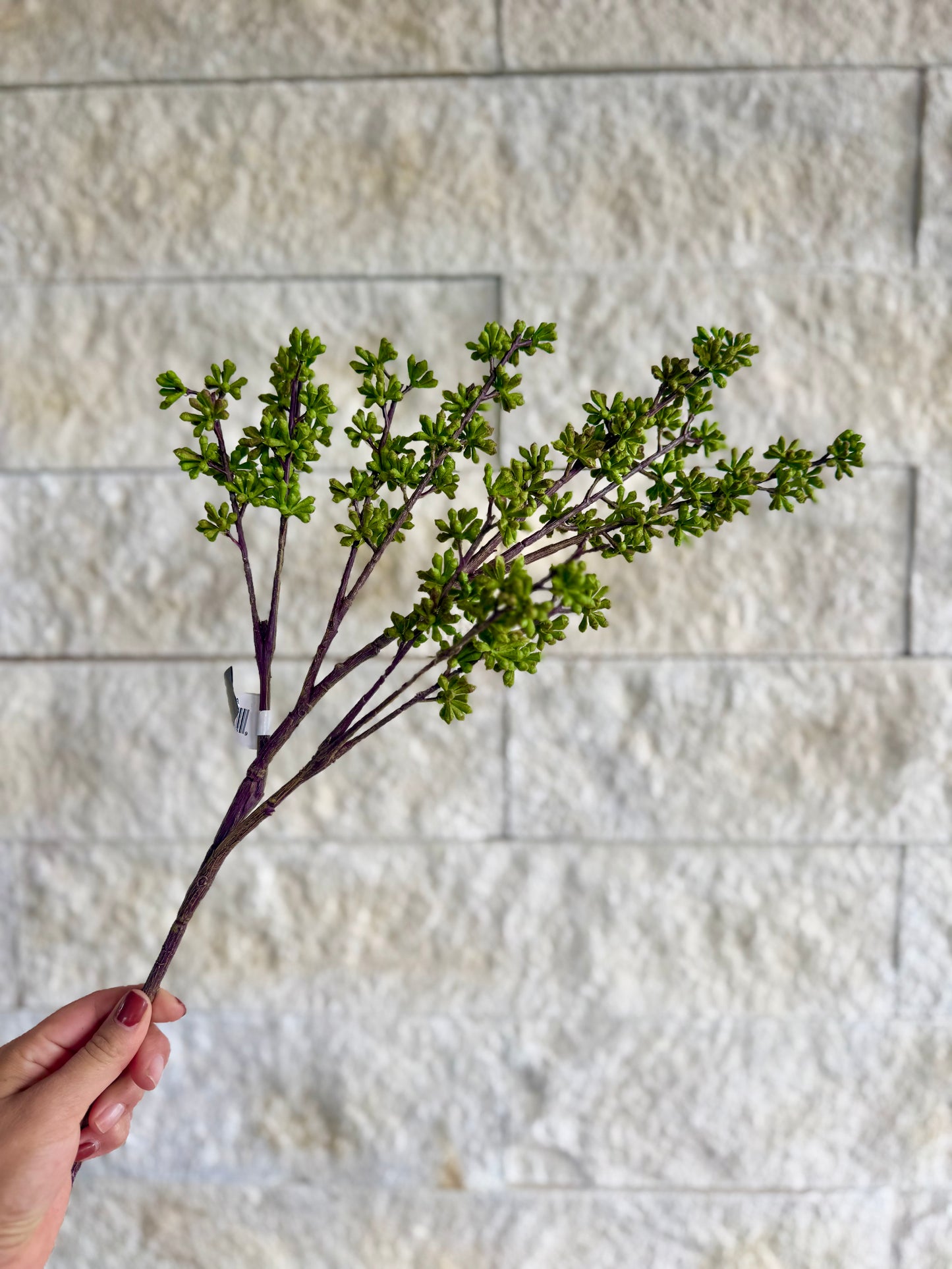 24.5" Green Eucalyptus Berry Bud Stem – Realistic Faux Greener