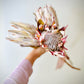 Blush Dried King Protea Stems- Set of 3