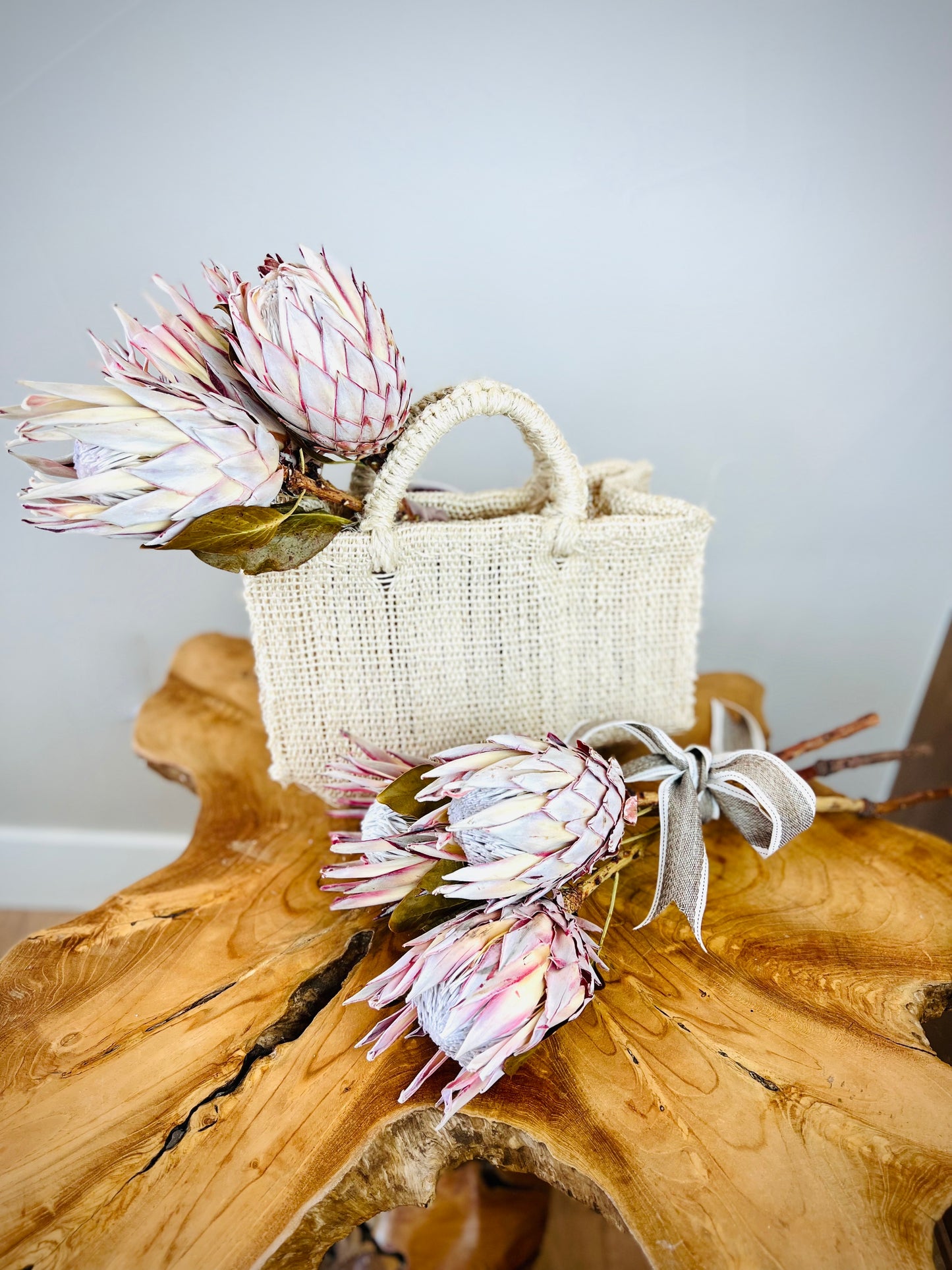 Blush Dried King Protea Stems- Set of 3