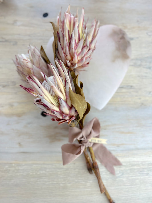 Blush Dried King Protea Stems- Set of 3